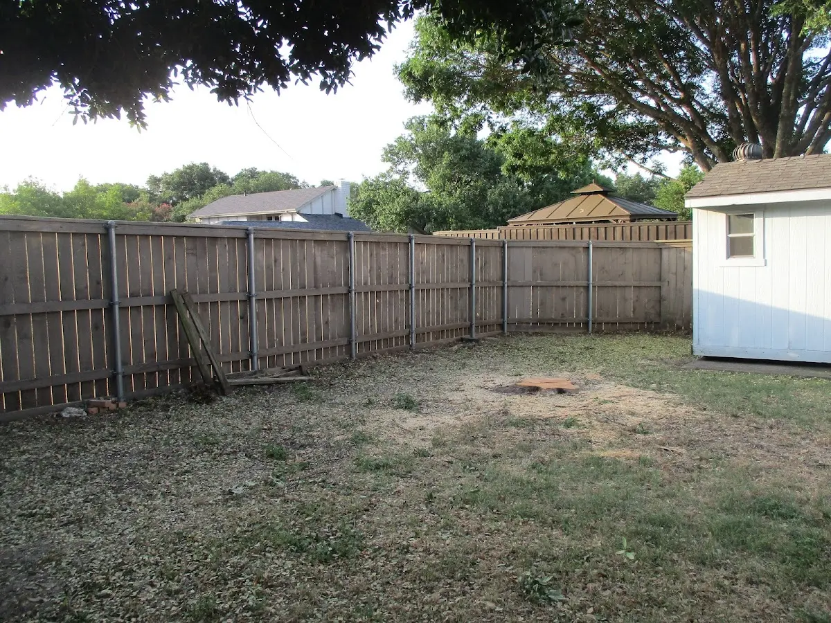Cleared yard after professional tree removal in Monterey Park